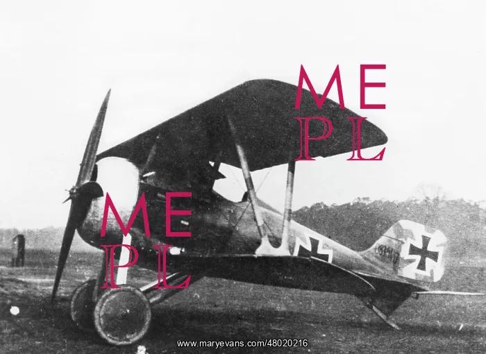 : German Siemens Schuckert D.III fighter plane, WW1 : German Siemens Schuckert D.III fighter plane, WW1