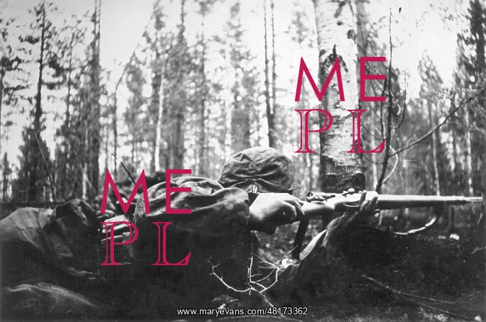 : German sniper on the eastern front in Karelia, 1942 : German sniper on the eastern front in Karelia, 1942