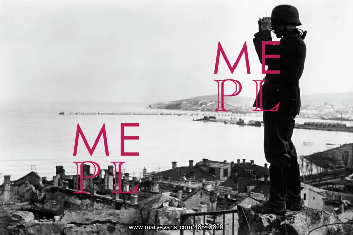: German soldier in the Crimea, 1942 : German soldier in the Crimea, 1942