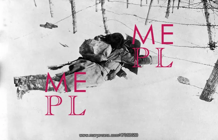 : German Soldier at the Eastern Front : German Soldier at the Eastern Front