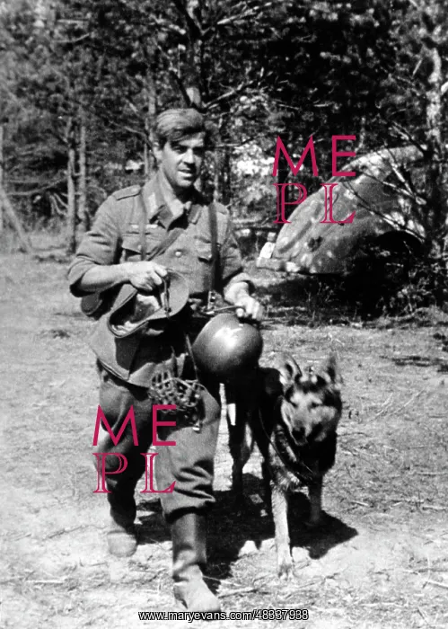 : German soldier on the Eastern Front, 1944 : German soldier on the Eastern Front, 1944