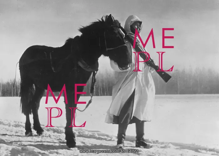 : German soldier with a horse on the Eastern Front, 1942 : German soldier with a horse on the Eastern Front, 1942