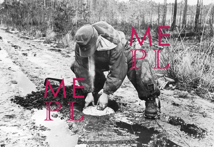 : German soldier lays a tank mine on the Eastern front, 1944 : German soldier lays a tank mine on the Eastern front, 1944