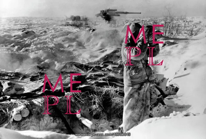 : German soldier observes the main battle line, 1943 : German soldier observes the main battle line, 1943