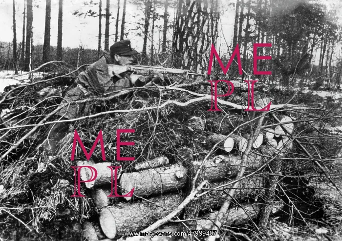 : German soldier with rifle : German soldier with rifle