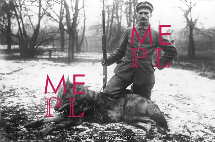 : German soldier with a shot wolf, 1916 : German soldier with a shot wolf, 1916