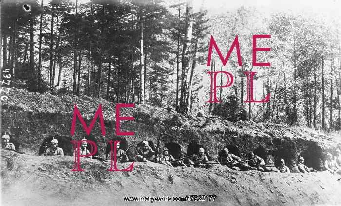 : German soldiers in the Argonne 1914 : German soldiers in the Argonne 1914