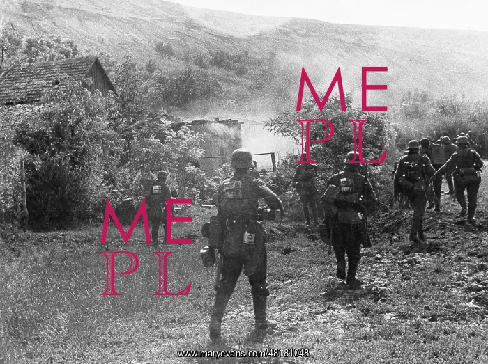 : German soldiers in the Caucasus, 1942 : German soldiers in the Caucasus, 1942