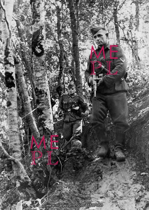 : German soldiers in the Caucasus, 1942 : German soldiers in the Caucasus, 1942