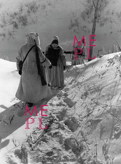 : German soldiers in the Caucasus, 1942 : German soldiers in the Caucasus, 1942