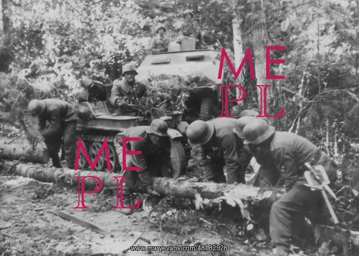 : German soldiers clear an obstacle, 1943 : German soldiers clear an obstacle, 1943