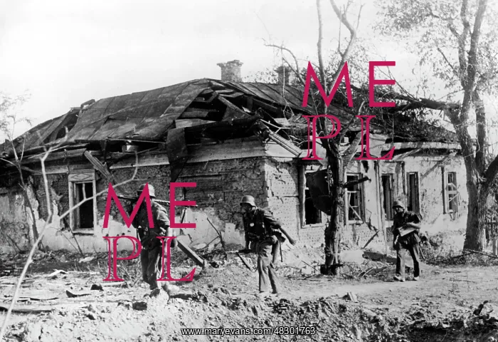 : German soldiers in close combat - Eastern Front, 1941 : German soldiers in close combat - Eastern Front, 1941