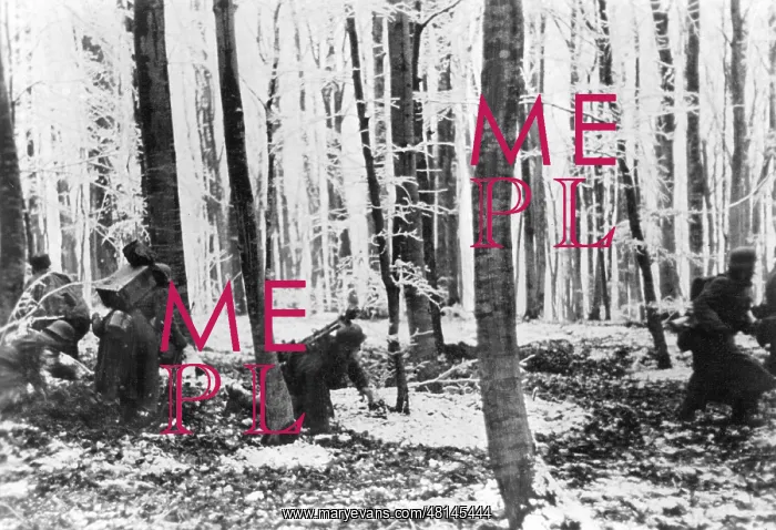 : German soldiers during combat in the Ardennes, 1945 : German soldiers during combat in the Ardennes, 1945