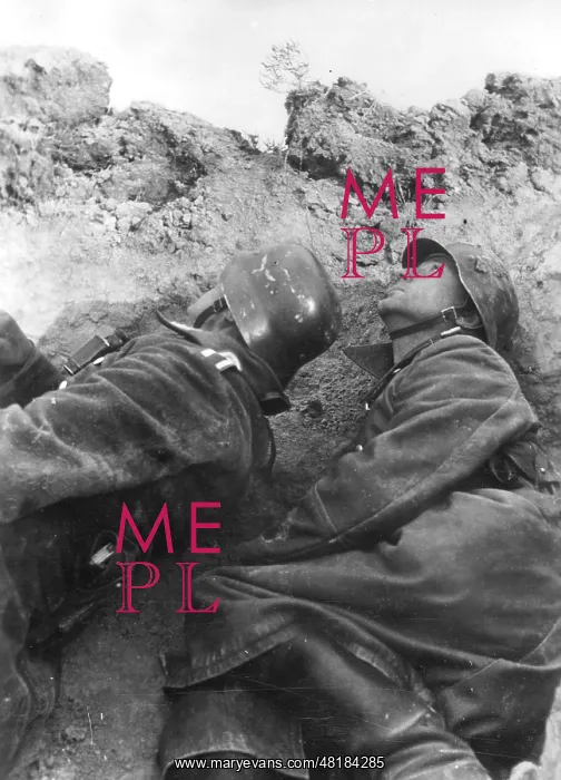 : German Soldiers on Crimea, 1941 : German Soldiers on Crimea, 1941