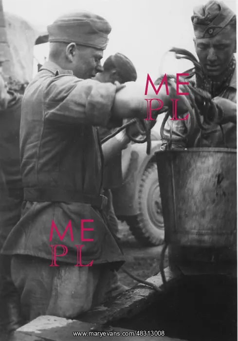 : German soldiers on the Don, 1942 : German soldiers on the Don, 1942