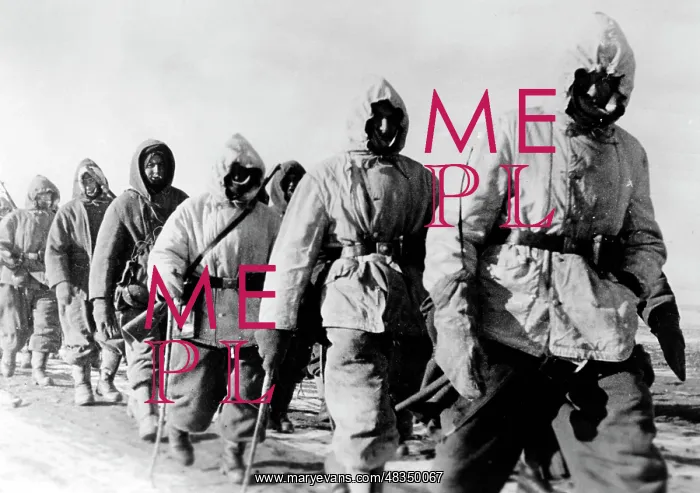 : German soldiers at the Don Bend, 1943 : German soldiers at the Don Bend, 1943