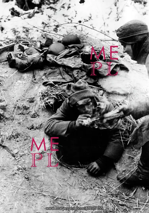 : German soldiers on the Eastern Front, 1941 : German soldiers on the Eastern Front, 1941