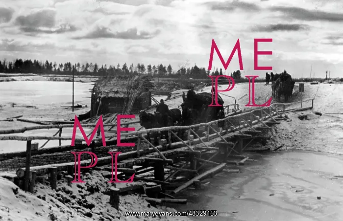 : German soldiers on the Eastern Front, 1941 : German soldiers on the Eastern Front, 1941