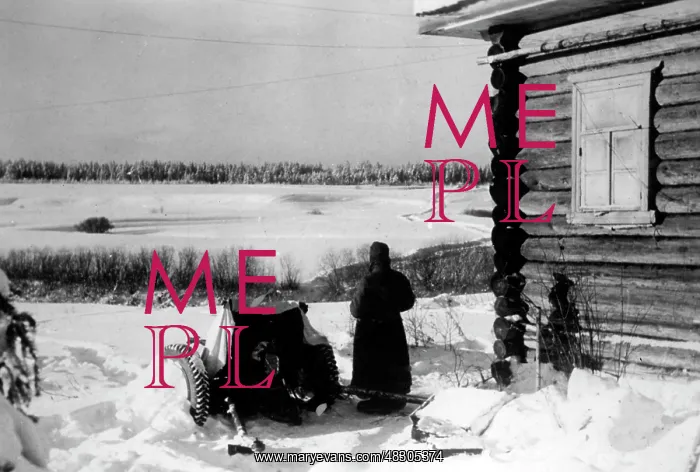 : German soldiers on the Eastern Front, 1942 : German soldiers on the Eastern Front, 1942