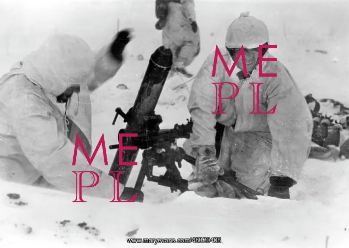 : German soldiers on the Eastern Front, 1942 : German soldiers on the Eastern Front, 1942