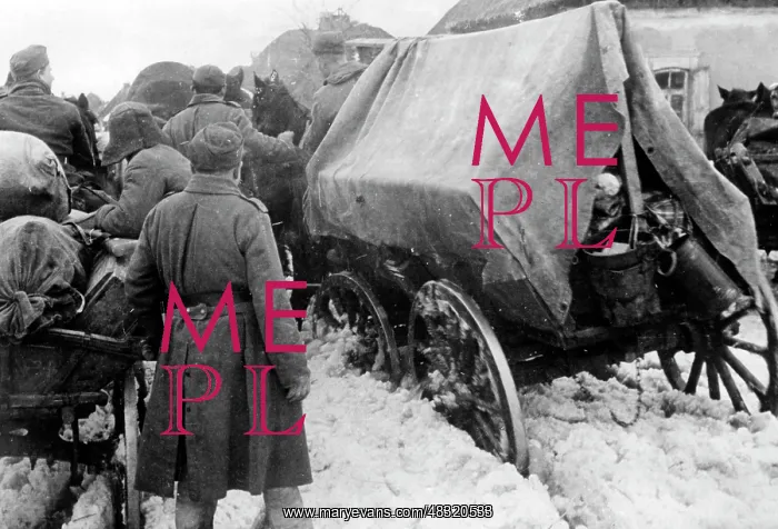 : German soldiers on the Eastern Front, 1942 : German soldiers on the Eastern Front, 1942