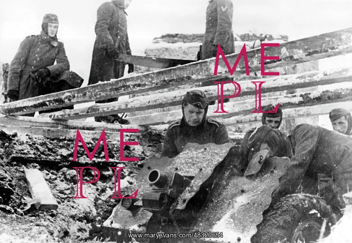 : German soldiers on the Eastern Front, 1942 : German soldiers on the Eastern Front, 1942