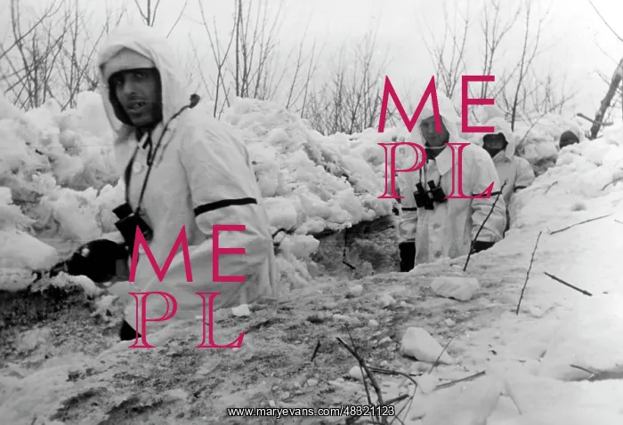 : German soldiers on the Eastern Front, 1942 : German soldiers on the Eastern Front, 1942
