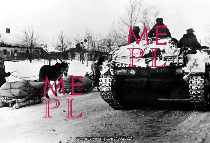 : German soldiers on the Eastern Front, 1942 : German soldiers on the Eastern Front, 1942