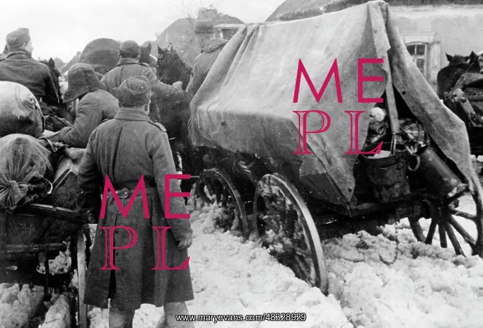 : German soldiers on the Eastern Front, 1942 : German soldiers on the Eastern Front, 1942