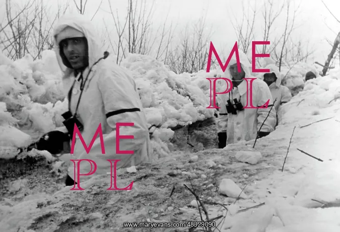 : German soldiers on the Eastern Front, 1942 : German soldiers on the Eastern Front, 1942