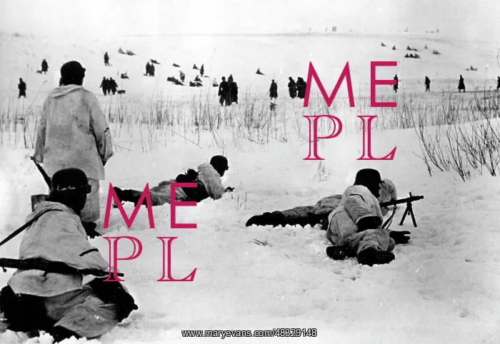 : German soldiers on the Eastern Front, 1942 : German soldiers on the Eastern Front, 1942