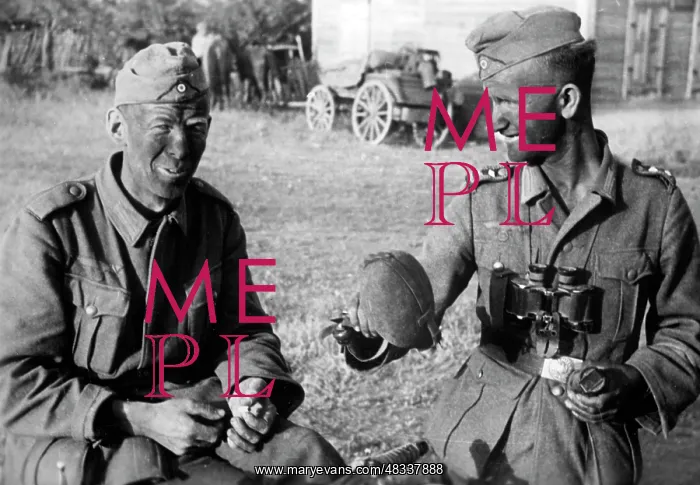 : German soldiers on the Eastern Front, 1942 : German soldiers on the Eastern Front, 1942