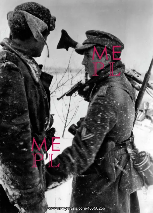 : German soldiers on the Eastern Front, 1943 : German soldiers on the Eastern Front, 1943