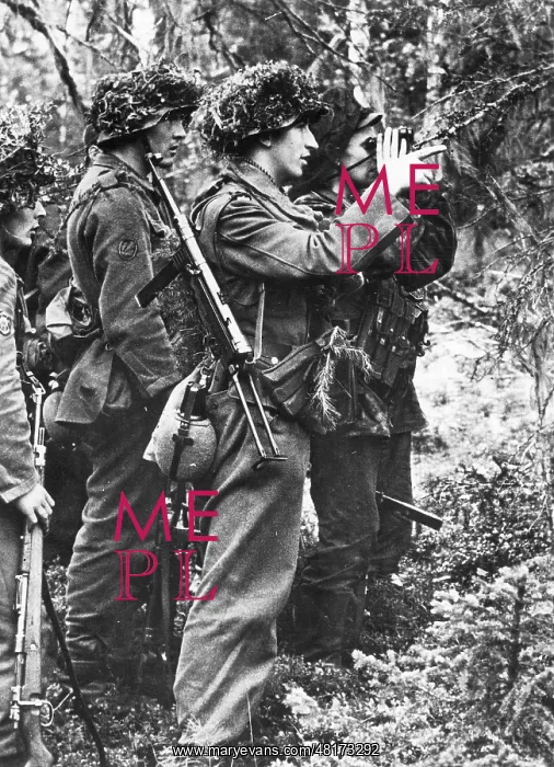 : German soldiers on the Eastern Front in Karelia, 1943 : German soldiers on the Eastern Front in Karelia, 1943