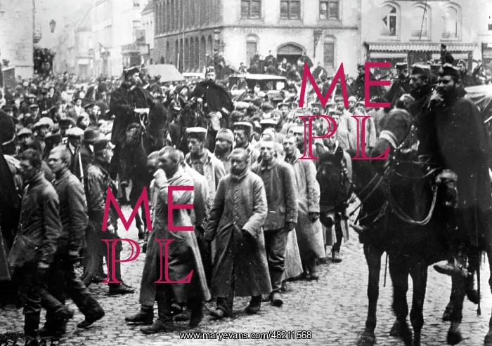 : German soldiers in French war captivity : German soldiers in French war captivity