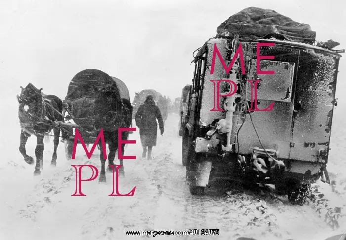 : German soldiers with horse wagons on the Eastern Front, 1941 : German soldiers with horse wagons on the Eastern Front, 1941