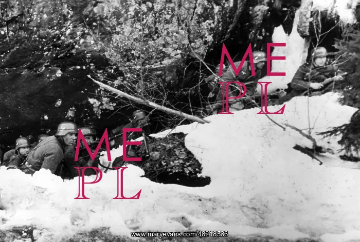 : German soldiers in Norway, 1940 : German soldiers in Norway, 1940