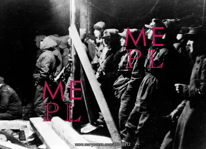: German soldiers in Norway, 1945 : German soldiers in Norway, 1945