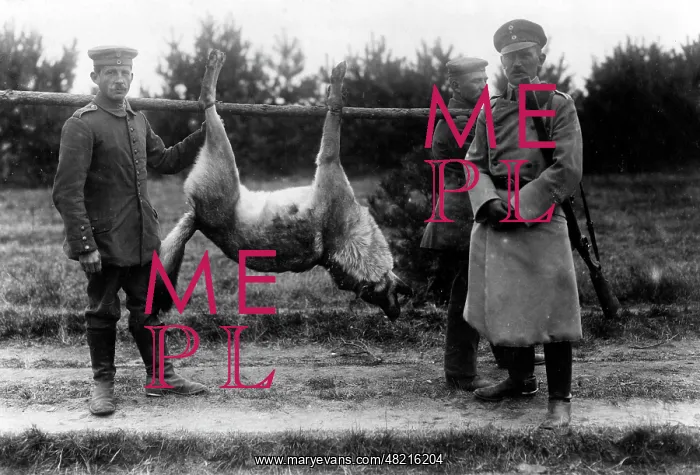 : German soldiers with a slain wolf, 1917 : German soldiers with a slain wolf, 1917