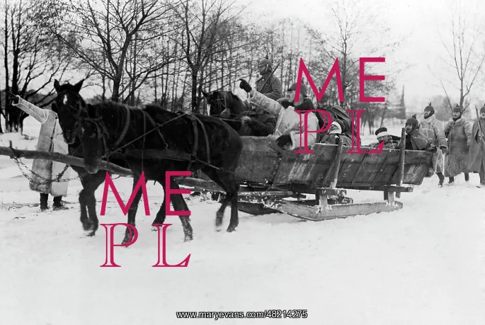 : German soldiers in a sleigh, 1915 : German soldiers in a sleigh, 1915