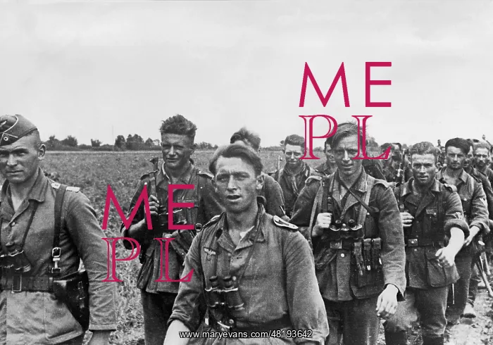 : German soldiers in the southern sector of the Eastern Front : German soldiers in the southern sector of the Eastern Front