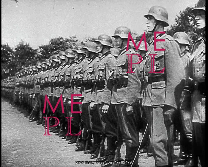  : German Soldiers Standing To Attention In Lines