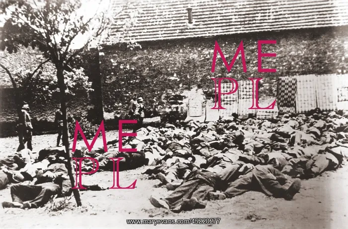 : German soldiers standing by corpses after ? : German soldiers standing by corpses after ?