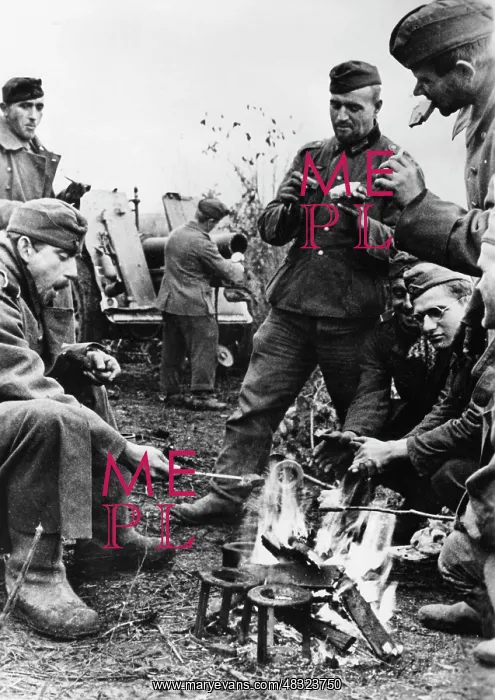 : German soldiers at the Terek, 1942 : German soldiers at the Terek, 1942