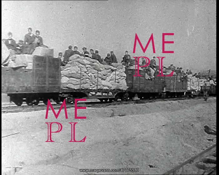 : German Soldiers on a Train Retreating Through Russia : German Soldiers on a Train Retreating Through Russia