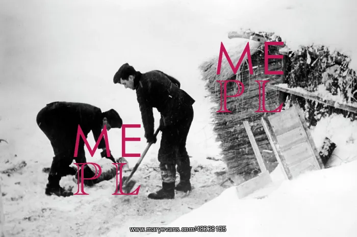 : German soldiers in winter, 1942 : German soldiers in winter, 1942
