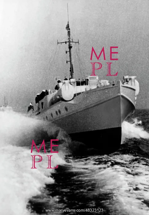 : German speedboat, 1940 : German speedboat, 1940