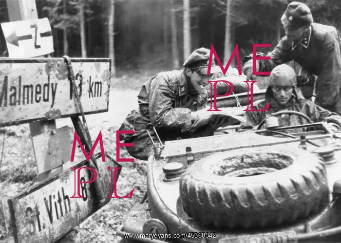 : German SS troops with the 1st Panzer division check : German SS troops with the 1st Panzer division check