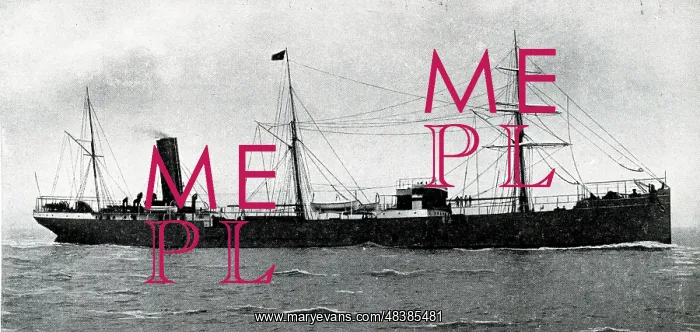 : German steamship Mannheim : German steamship Mannheim