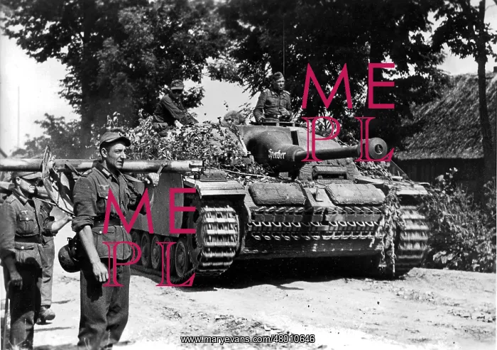 : German StuG III : German StuG III